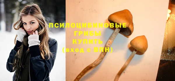 кристаллы Алзамай